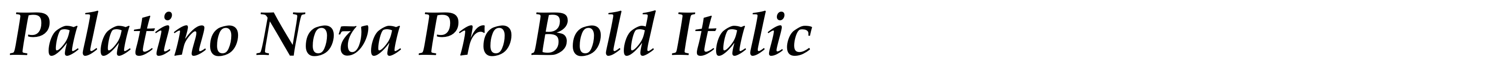 Palatino Nova Pro Bold Italic